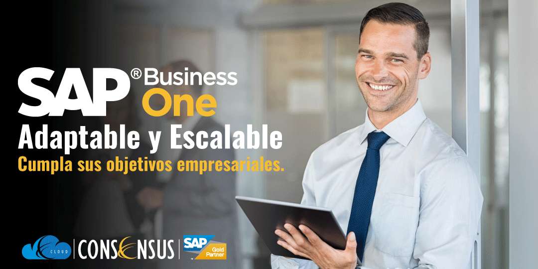 3SAP-Business-One_Consensus_Gerentes_Generales