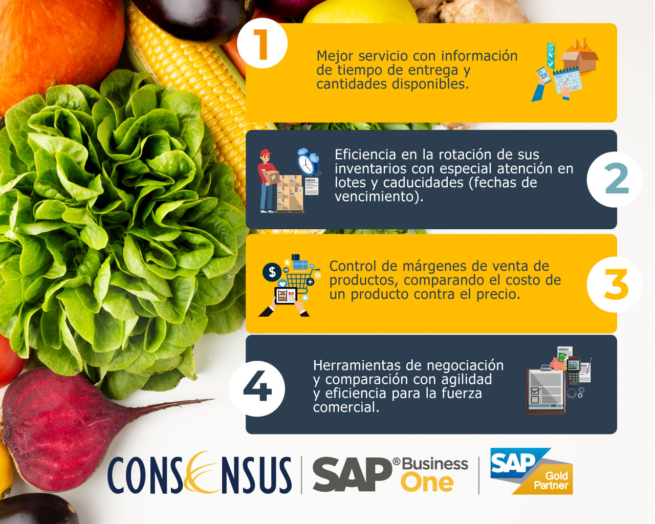 Alimentos-SAP Business One-Consensus