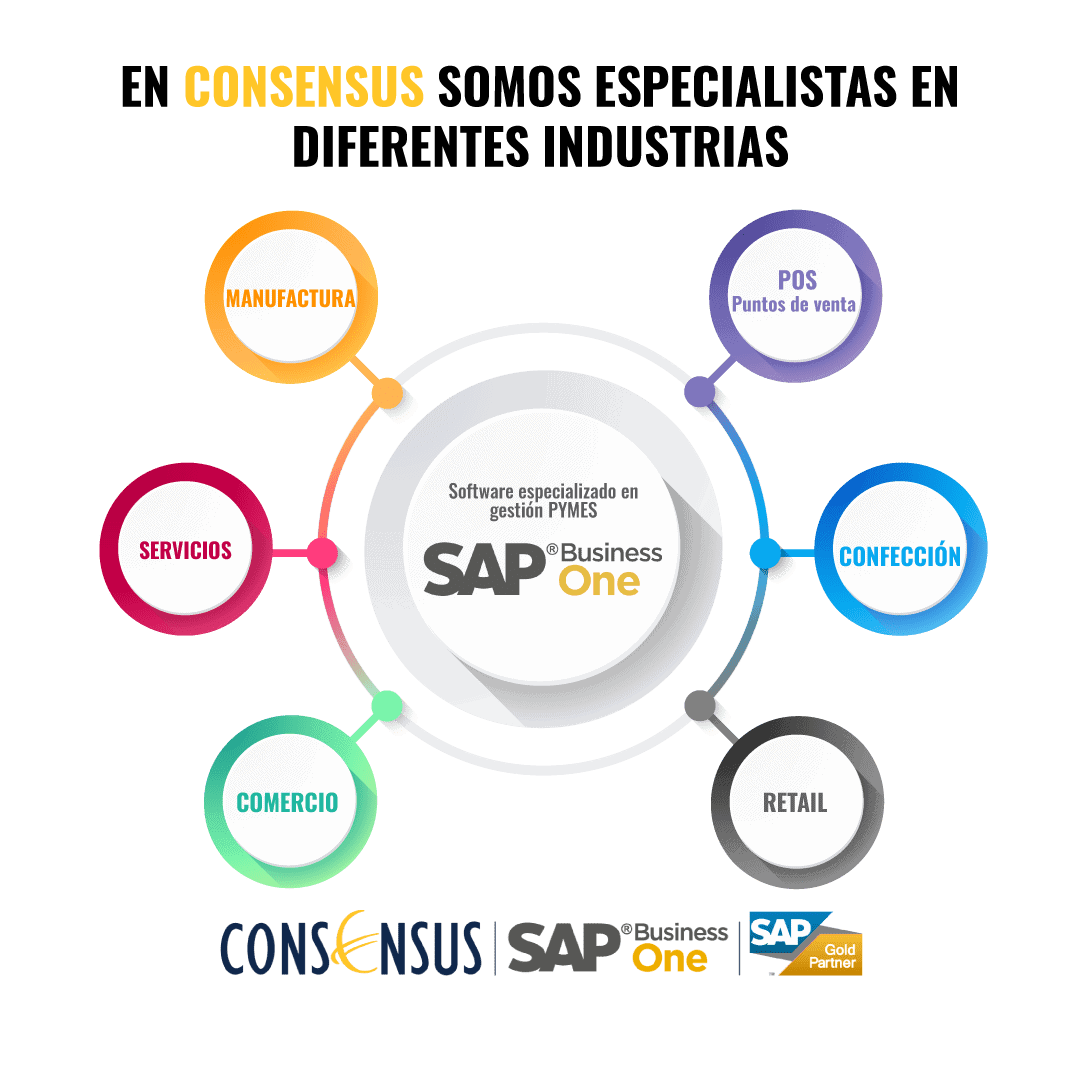 Industria_Consensus_SAPBusinessOne-1