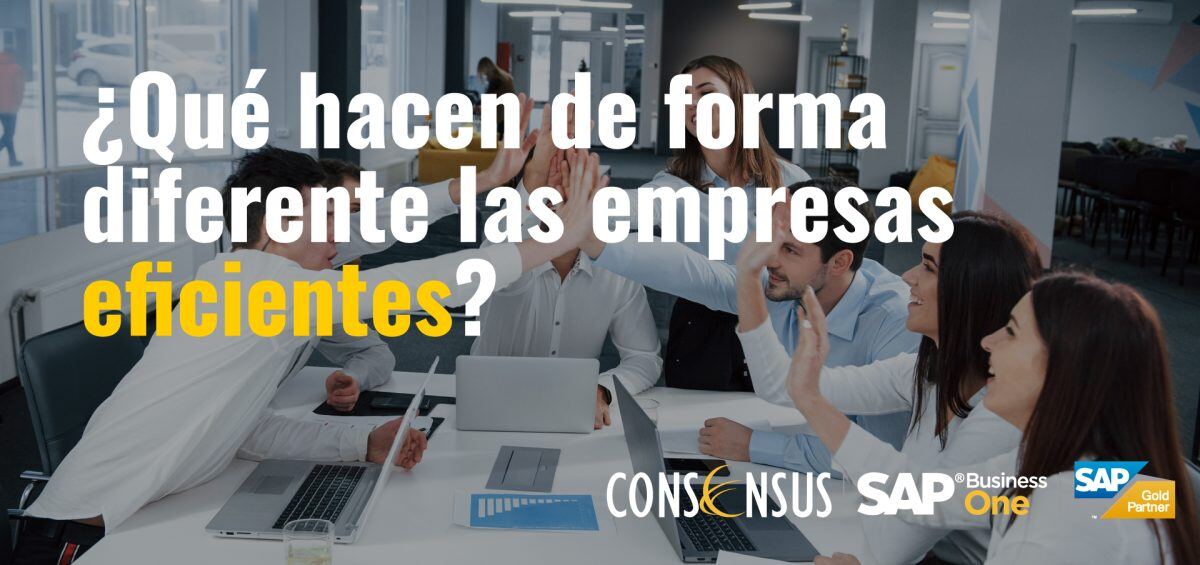 Que-hacen-de-forma-diferentes-las-empresas-eficientes