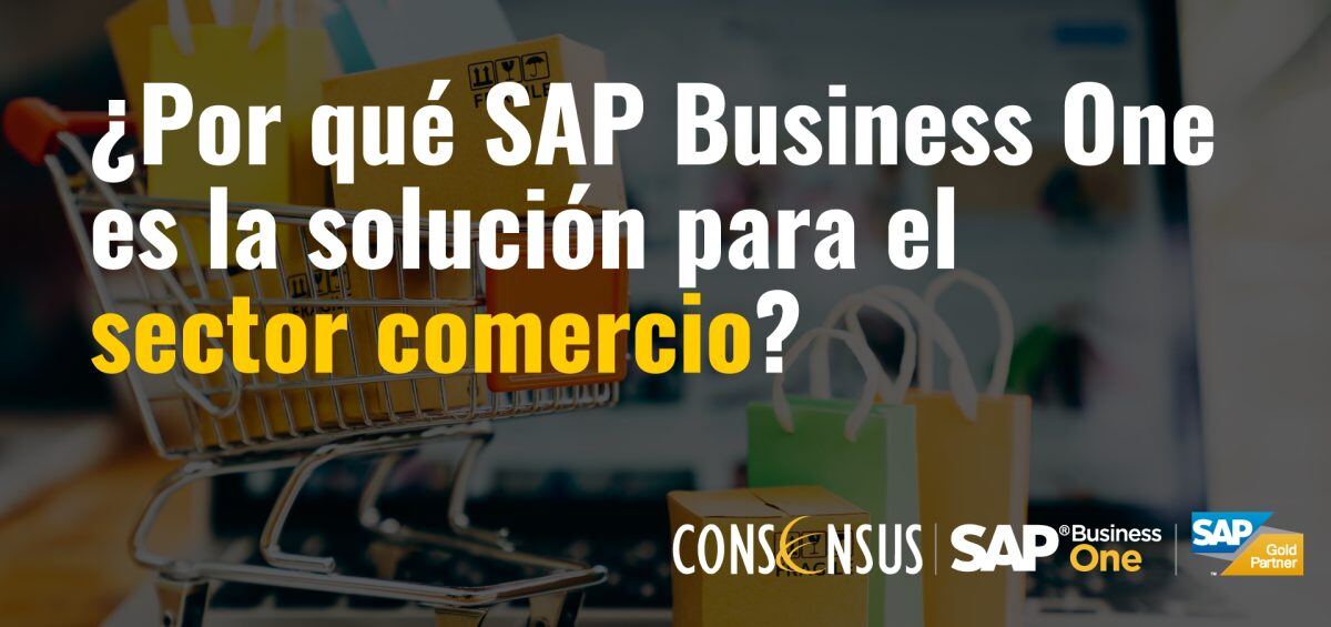 SAP-Business-One-Sector-Comercio