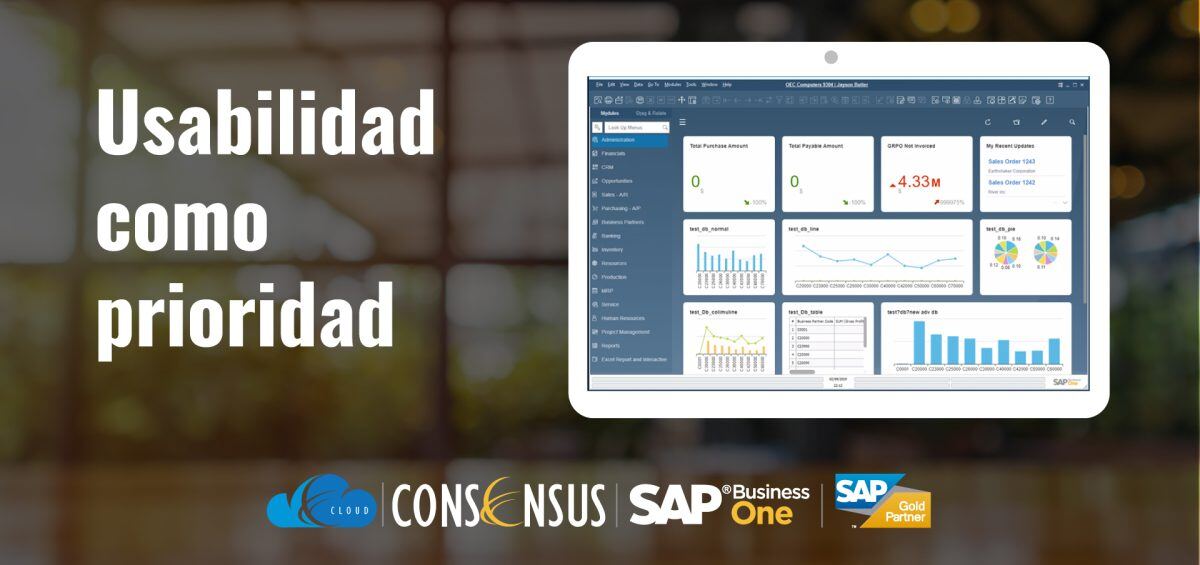 SAP-Business-One_Cliente-Web_Consensus