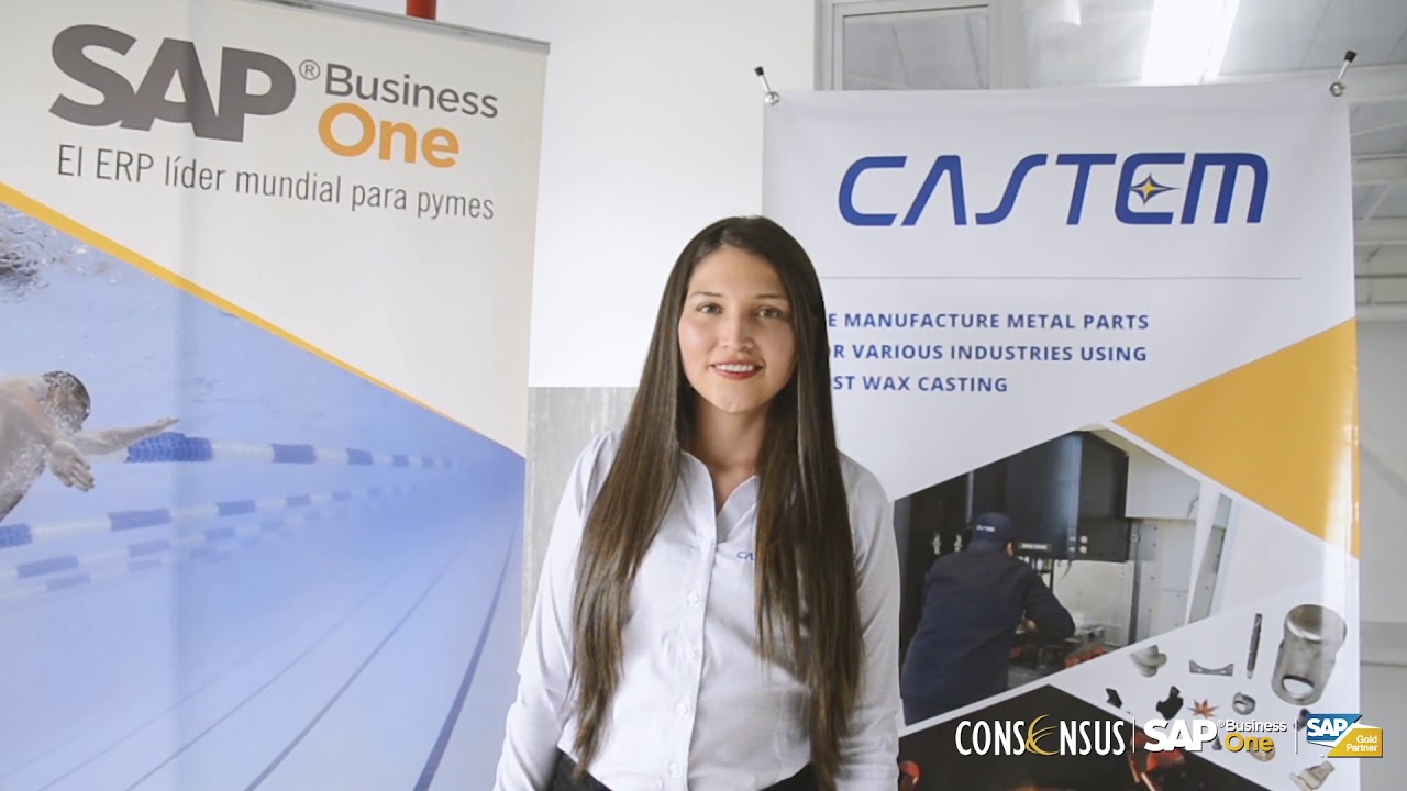 Optimización de Costos e Inventarios en Castem con SAP Business One